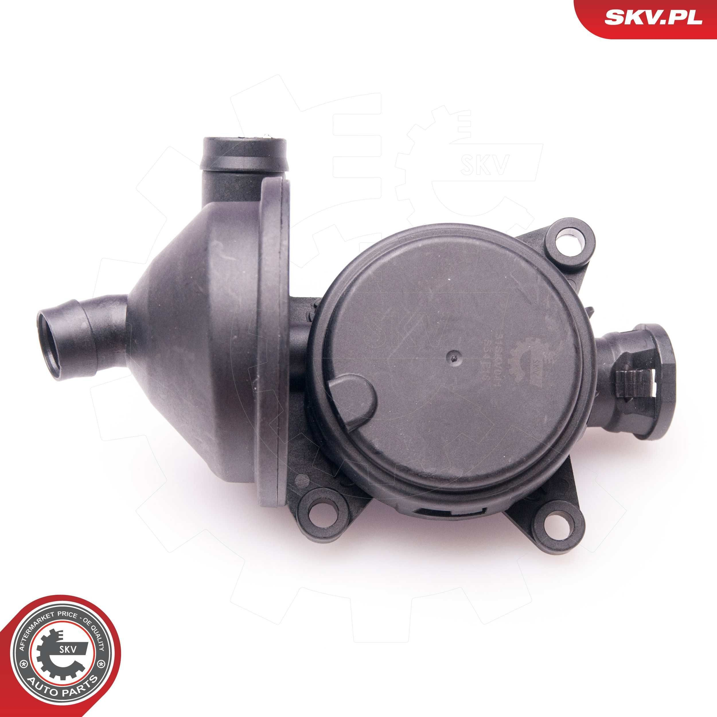 31SKV041 SKV